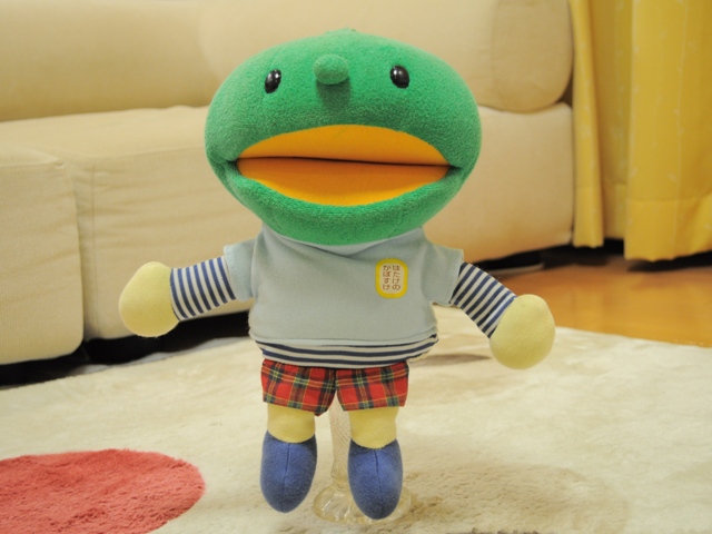 The original Kabo-chan plushie standing in Kabosu's home